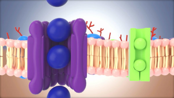 醫學3d動畫圖 醫學3d動畫圖
