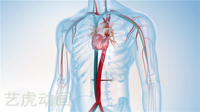 疫情動畫視頻設計 疫情動畫視頻設計