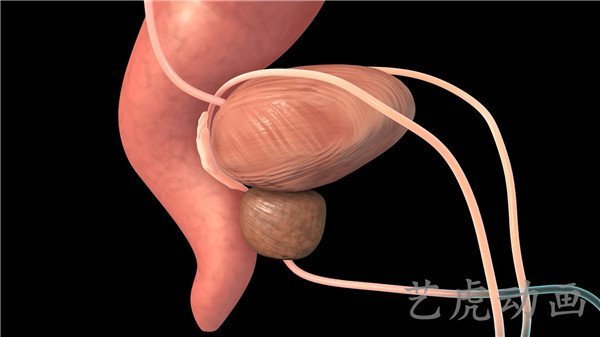 醫(yī)學(xué)三維動畫制作 (2) 醫(yī)學(xué)三維動畫制作 (2)