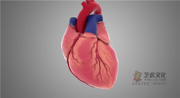 3心臟跳動(dòng)及剖面三維動(dòng)畫演示[00_00_01][20210220-134026]