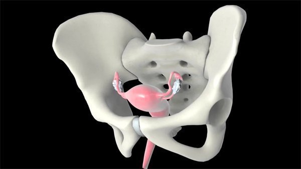 三維動畫制作26 三維動畫制作26