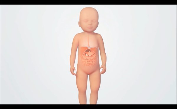 三維動(dòng)畫制作83