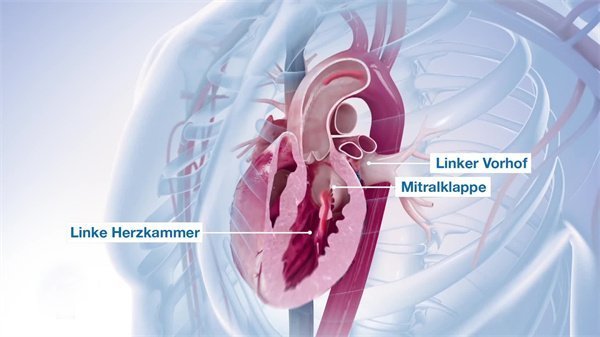 三維動(dòng)畫制作20