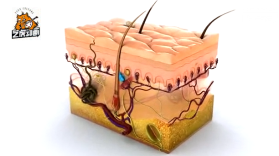 三維動畫視頻制作 三維動畫視頻制作