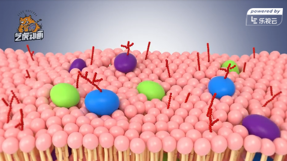 細胞醫學三維動畫 細胞醫學三維動畫