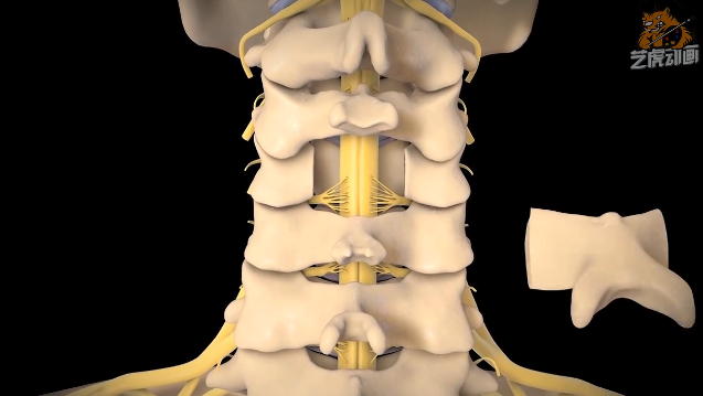 醫(yī)療動畫 醫(yī)療動畫