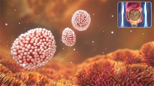 1ac238849bf340e78f7907776ae3302c-00005 1ac238849bf340e78f7907776ae3302c-00005